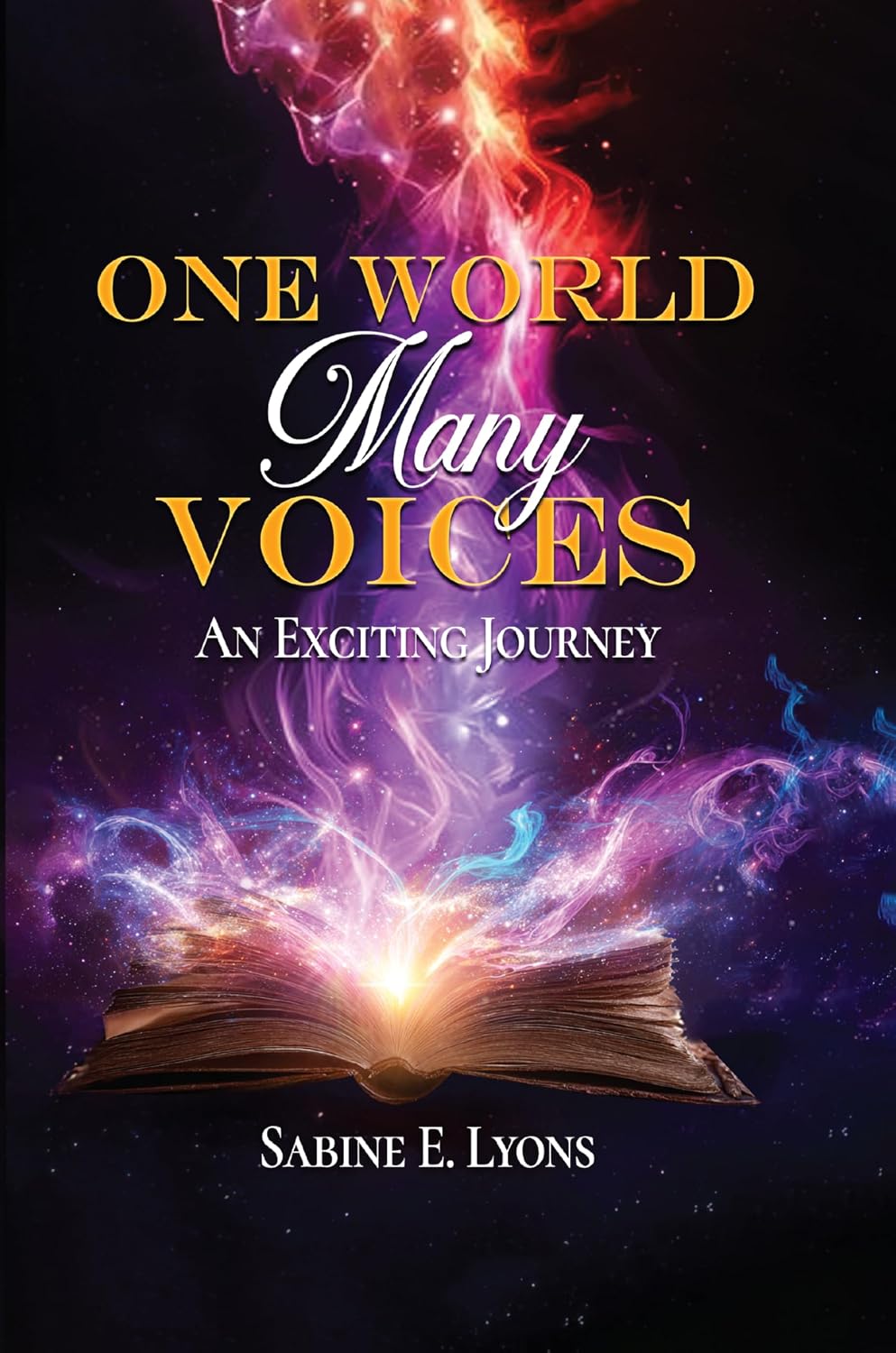 One World, Many Voices book cover